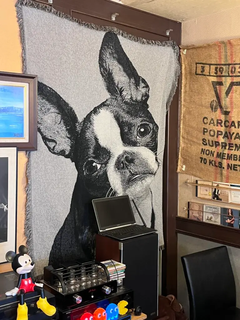 A picture one the wall at Shan gou da dog friendly cafe in Taipei, its the wonderful Tofu the owners dog