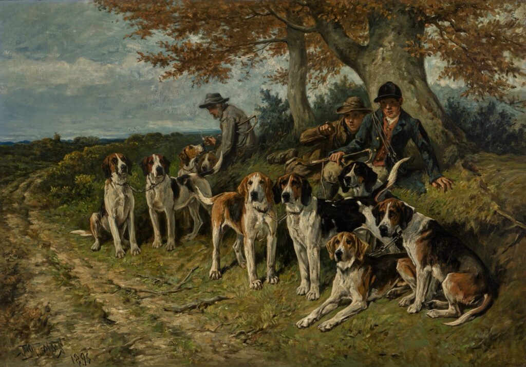 buckhounds before a hunt