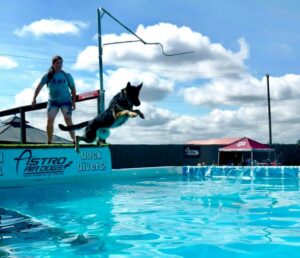 dock diving is a great enrichment activity for dogs